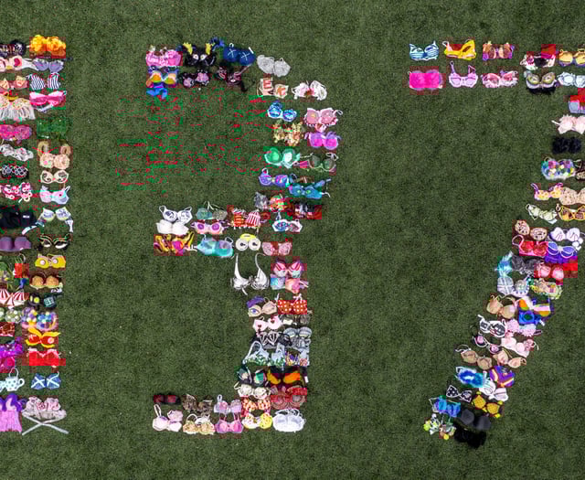 Bra-vo for Walk the Walk’s £137m fundraising