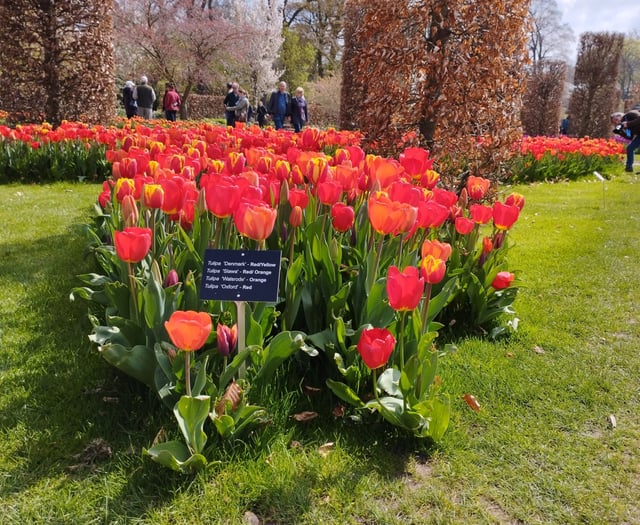 SWR grants fund wet chairs, cycle parking and better buses to Wisley