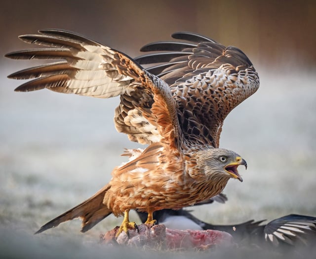 Stunning images cover a range of photographic genres