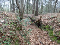 Peeps into the Past: Pirbright Arch, movie magic and war relics