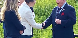 Royal approval for John
