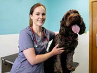 Petersfield vet saved dog that swallowed ball