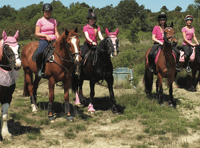 Riders – and horses – in pink raise £6,000 for charity
