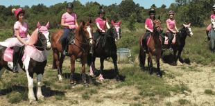 Riders – and horses – in pink raise £6,000 for charity