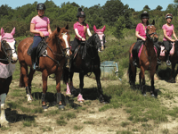Riders – and horses – in pink raise £6,000 for charity