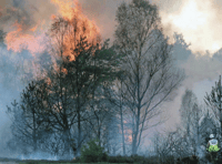 Ensure our tinder-dry countryside does not fall victim to a wildfire