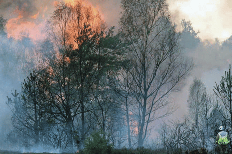 A wildfire raging across heathland on Chobham Common during a dry summer