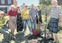 Tree planted outside church in honour of community champ Norman Johns
