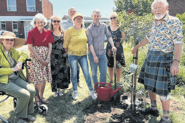 Norman Johns with his commemorative holly tree and Woking Liberal Democrats’ Will Forster holding the spade