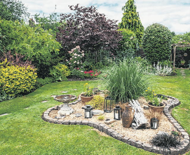 Something for everyone on Horsell Garden Safari