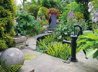 Brian's garden takes the top prize in Chobham competition – once again