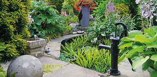 Brian's garden takes the top prize in Chobham competition – once again