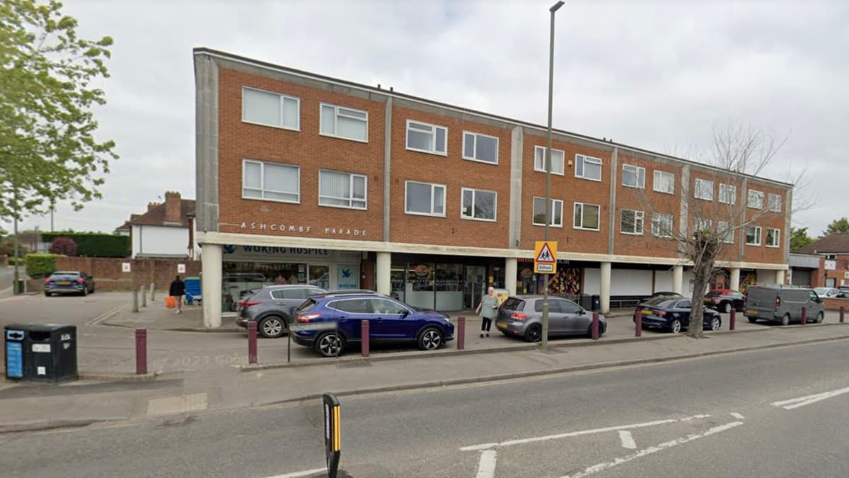 John Lehane, of Birchwood Road, West Byfleet, admits thefts spree