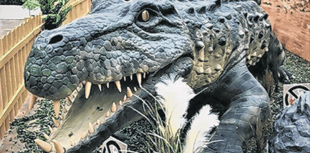 Go on safari in support of Woking-based WWF