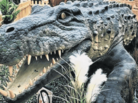 Go on safari in support of Woking-based WWF