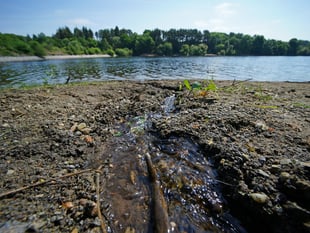 Almost a dozen sewage overflows in Woking last year