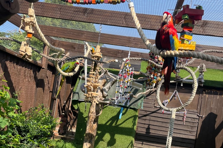 The aviary at 5 Barton Close, Knaphill, has been given a stay of execution by Woking councillors