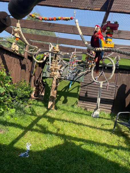 The aviary at 5 Barton Close, Knaphill, has been given a stay of execution by Woking councillors