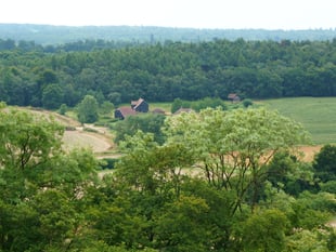 Surrey Hills under threat: Battle over relaxation of conversion rules