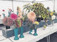Standard of entries 'so high' at Chobham Show