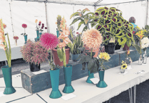 Standard of entries 'so high' at Chobham Show