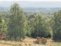 Plans to protect our crucial common