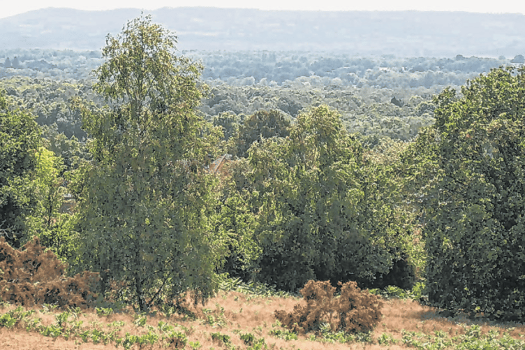The spectacular picnic view at the Top car park