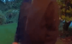 Police seek assistance to identify man