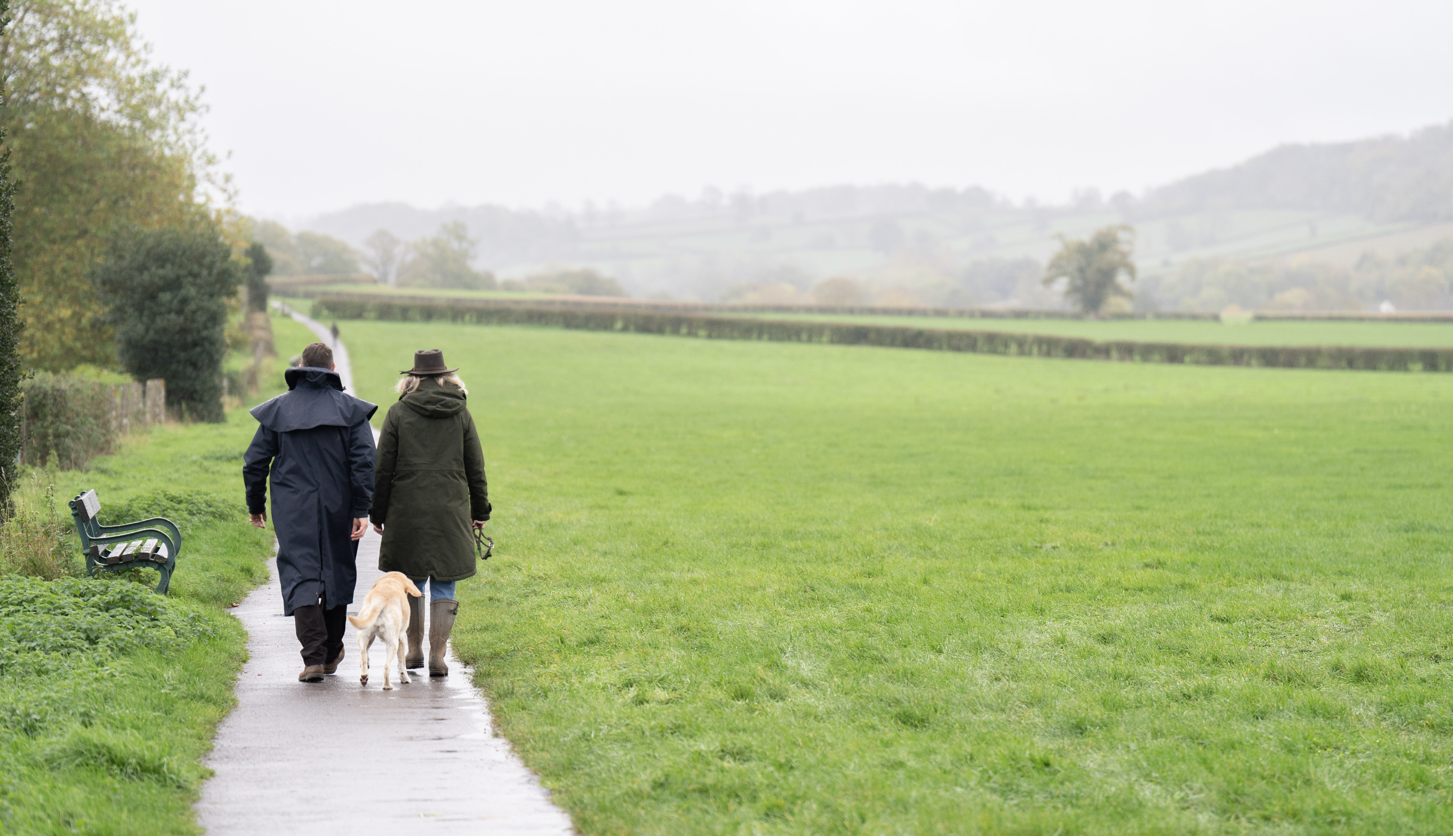 Hundreds of miles of footpath lost in Surrey over past century