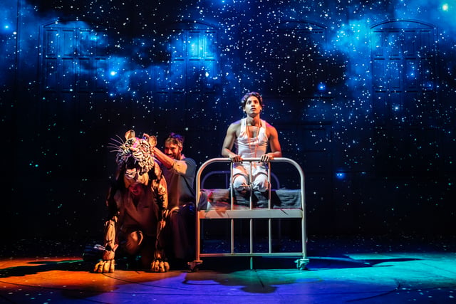 Life of Pi at The New Victoria Theatre is a theatrical masterpiece