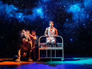 Life of Pi at The New Victoria Theatre is a theatrical masterpiece
