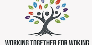 Fair will celebrate vital contribution of voluntary sector  
