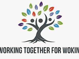 Fair will celebrate vital contribution of voluntary sector  

