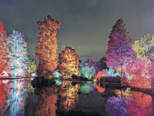 Get set, Glow at RHS Garden Wisley