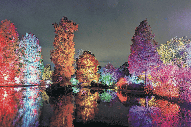 A previous Glow at RHS Garden Wisley