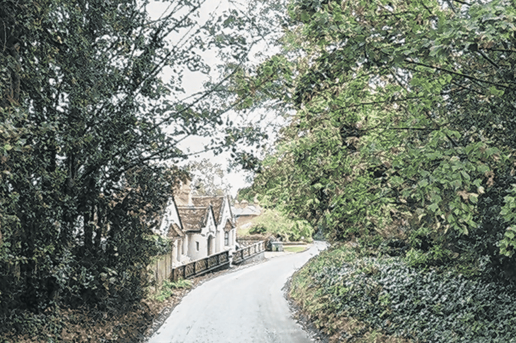 The narrow and tree-lined Ockham Lane is at the centre of residents’ concerns over road safety