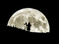 Halloween 2023: More than a dozen witches living in Woking