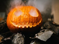Whooo... enjoy Halloween in the cemetery
