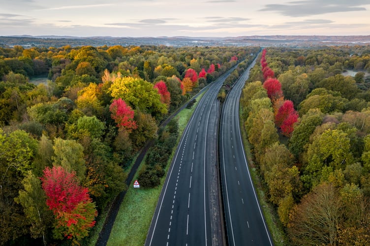 The autumnal red maple trees - commemorating Canadian 418 soldiers who died in both World Wars - on the A3 in Hampshire. October 22 2023. Photo released October 27 2023. See SWNS story SWLNmaples. Stunning photos show autumnal red maple trees dotted along a motorway - commemorating Canadian 418 soldiers who gave their lives during war. Many motorists are unaware they are passing through a treasured war memorial on the A3 in Hampshire.A total of 418 of these maples, Canadaâs national tree, were placed along the A3 near Liphook to mark the lives of 418 Canadian servicemen who died in both World Wars. The servicemen trained locally and died at Bramshott during both wars.There was a Canadian training base in the area, as well as a large hospital caring for sick and wounded soldiers.
