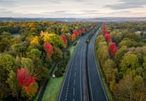 Witness appeal launched as girl, 7, and woman die in crash on A3 near Hindhead