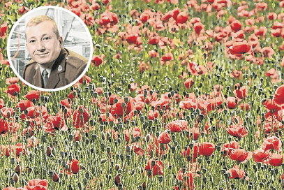 For the RBL, the poppy is a symbol of Remembrance and hope for a peaceful future; inset, Lance Corporal Ashley Martin