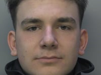 Burglar and car thief who "tormented residents" has been locked up