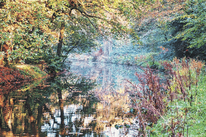 Autumn colours reflected in the Basingstoke Canal at St John’s