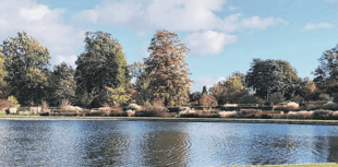 Royer Slater: Enjoy RHS Wisley’s wide palette of autumn colour