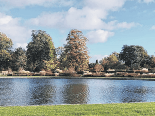 Royer Slater: Enjoy RHS Wisley’s wide palette of autumn colour