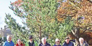 Chobham to embrace Christmas spirit with lights switch-on