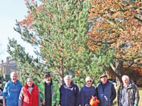 Chobham to embrace Christmas spirit with lights switch-on