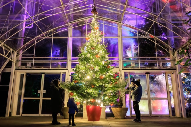 Visitors admire the colourful illumated Christmas tree outside the iconic Glasshouse at the launch of Glow