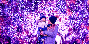 RHS Garden Wisley's Glow illuminates the night until January 2