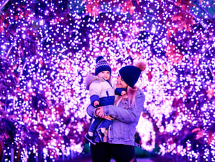 RHS Garden Wisley's Glow illuminates the night until January 2